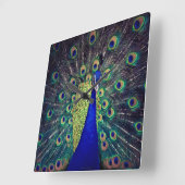 Kobalt Blue Peacock Vierkante Klok (Hoek)