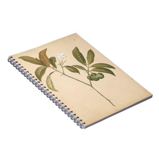 Kobalt Deco-paneel I Notitieboek (Rechterzijde)