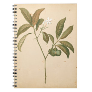 Kobalt Deco-paneel I Notitieboek