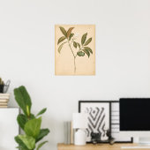 Kobalt Deco-paneel I Poster (Thuiskantoor)