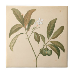 Kobalt Deco-paneel I Tegeltje