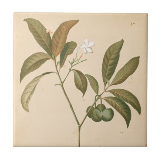 Kobalt Deco-paneel I Tegeltje (Voorkant)