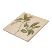 Kobalt Deco-paneel I Tegeltje (Zijkant)