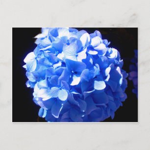 Kobaltblauw bloemensierlijke blauwe hortensia's briefkaart