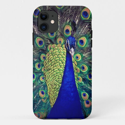 Kobaltblauwe Pauw Case-Mate iPhone Case (Achterkant)