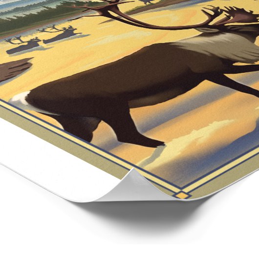 Kobuk Valley Nationaal Park Litho Kunstwerk Poster (Hoek)