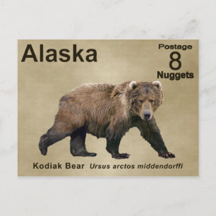 Kodiak-Beer Briefkaart