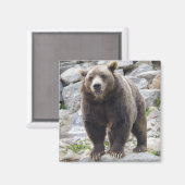 Kodiak beer magnet magneet (Voorkant / Achterkant)