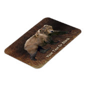 Kodiak Beer on Cariou Fur Magneet (Linkerzijde)