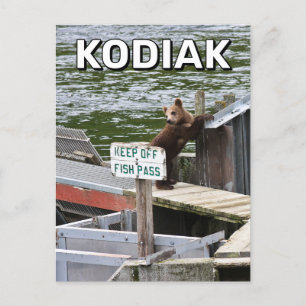 Kodiak Beer overtreedt de regels Briefkaart