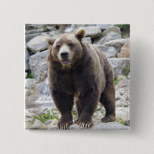Kodiak-beer Vierkante Button 5,1 Cm