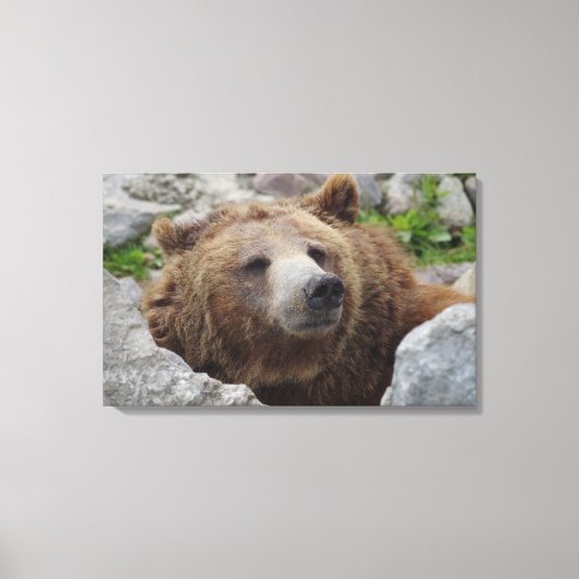 Kodiakbeer Canvas Afdruk (Voorkant)