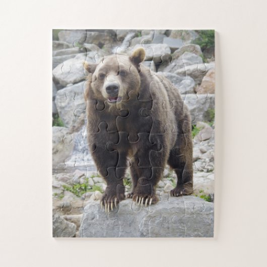 Kodiakbeer Legpuzzel (Verticaal)
