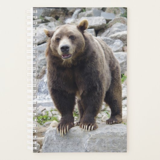 Kodiakbeer Planner (Voorkant)