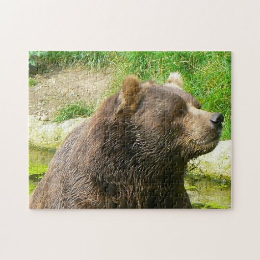 Kodiakberen. Legpuzzel (Horizontaal)
