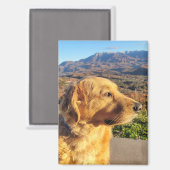 Kody Magnet Magneet (Voorkant / Achterkant)