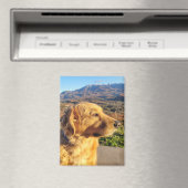 Kody Magnet Magneet (Insitu (Vaatwasser))