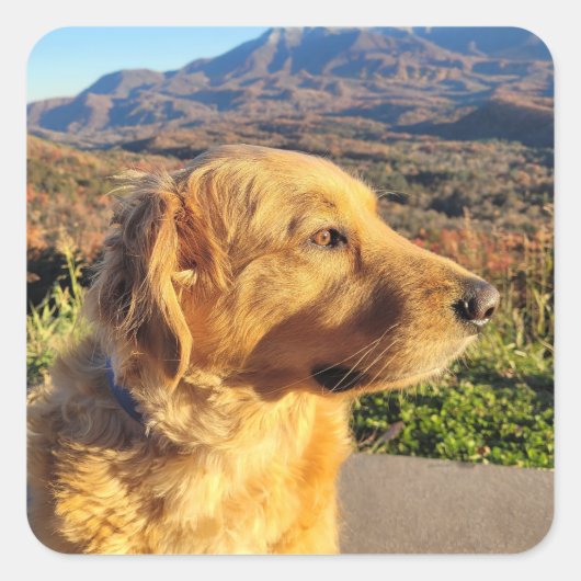 Kody Sticker (Voorkant)