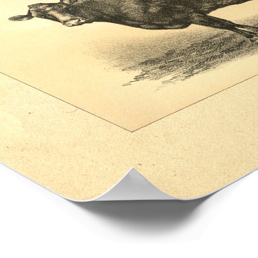 Koe 1888 Afdrukken Poster (Hoek)