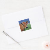 KOE 2 VIERKANTE STICKER (Envelop)