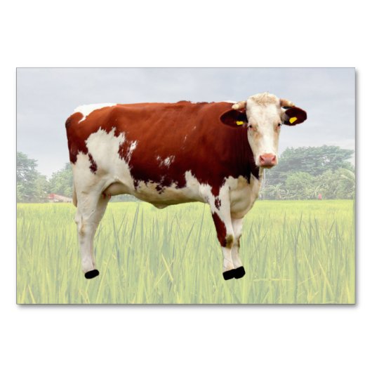 Koe ABA Tact Labelling Flashcard | KAART AFBEELDIN (Voorkant)