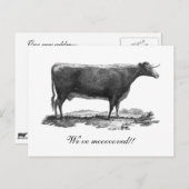  koe adreswijziging aankondigingskaart (Voorkant / Achterkant)