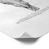 Koe Anatomie afdrukken Poster (Hoek)