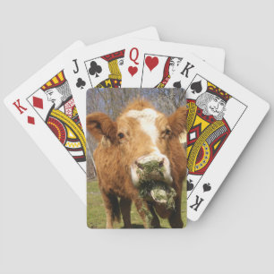 Koe Bicycle®-speelkaarten Pokerkaarten