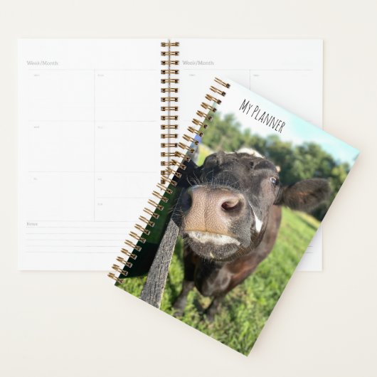 Koe "Boop" Planner (Display)