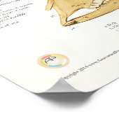 Koe Bovine Skull Anatomee Chart Poster (Hoek)