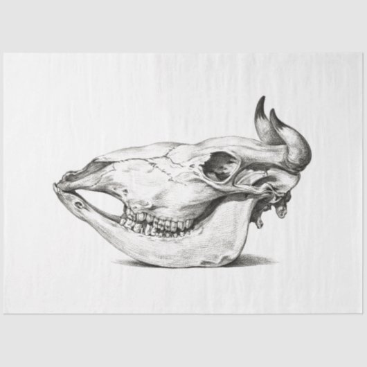 Koe Bull Skull Side Decoupage Boerderij Ranch Tissuepapier (Voorkant)