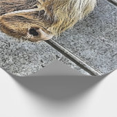 KOE CADEAUPAPIER (Hoek)