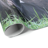 Koe Cadeaupapier (Rol Hoek)