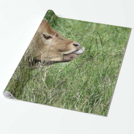 KOE CADEAUPAPIER (Uitgerold)