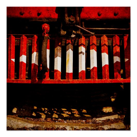 Koe Catcher Perfect Poster (Voorkant)