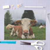 Koe close-up, deel 5: Dit is het leven! Tissuepapier (Craft)