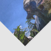 Koe close-up, deel 7: 'Ik luister!' Uitgave Tissuepapier (Detail)