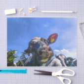 Koe close-up, deel 7: 'Ik luister!' Uitgave Tissuepapier (Craft)