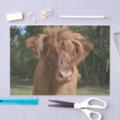 Koe Close-up, Part 2: The Floppy-Hazard Edition Tissuepapier (Craft)