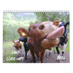 Koe Close-ups 2026 Agenda Kalender