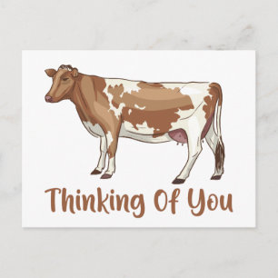 Koe Denkt Aan Jou Hallo Vermist Boerderij Boer Briefkaart
