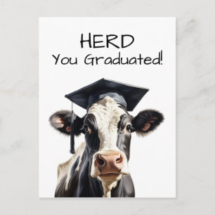 Koe Diпломkaart Kudde Wij Feliciteren Grappig Briefkaart
