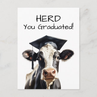 Koe Diпломkaart Kudde Wij Feliciteren Grappig Briefkaart