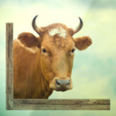 Koe die binnen of uit Venster kijkt Raamsticker (Vel 3)