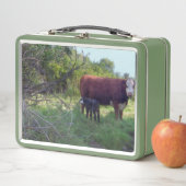 Koe en kalf bij pasta v2 (In situ)