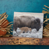 Koe en kalf Bison, geelsteen Fotoplaat (Zijkant)