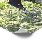 Koe en kalf poster (Hoek)