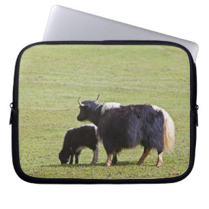Koe en kalf Yak   Lijiang Laptop Sleeve