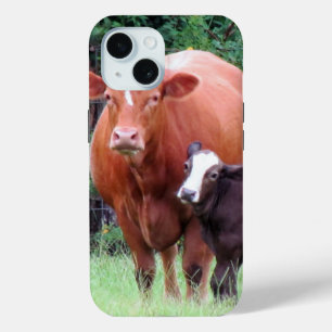 Koe en telefoonkwestie Calf