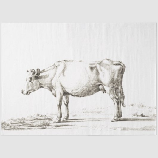 Koe Ephemera Decoupage Boerderij Tissuepapier (Voorkant)